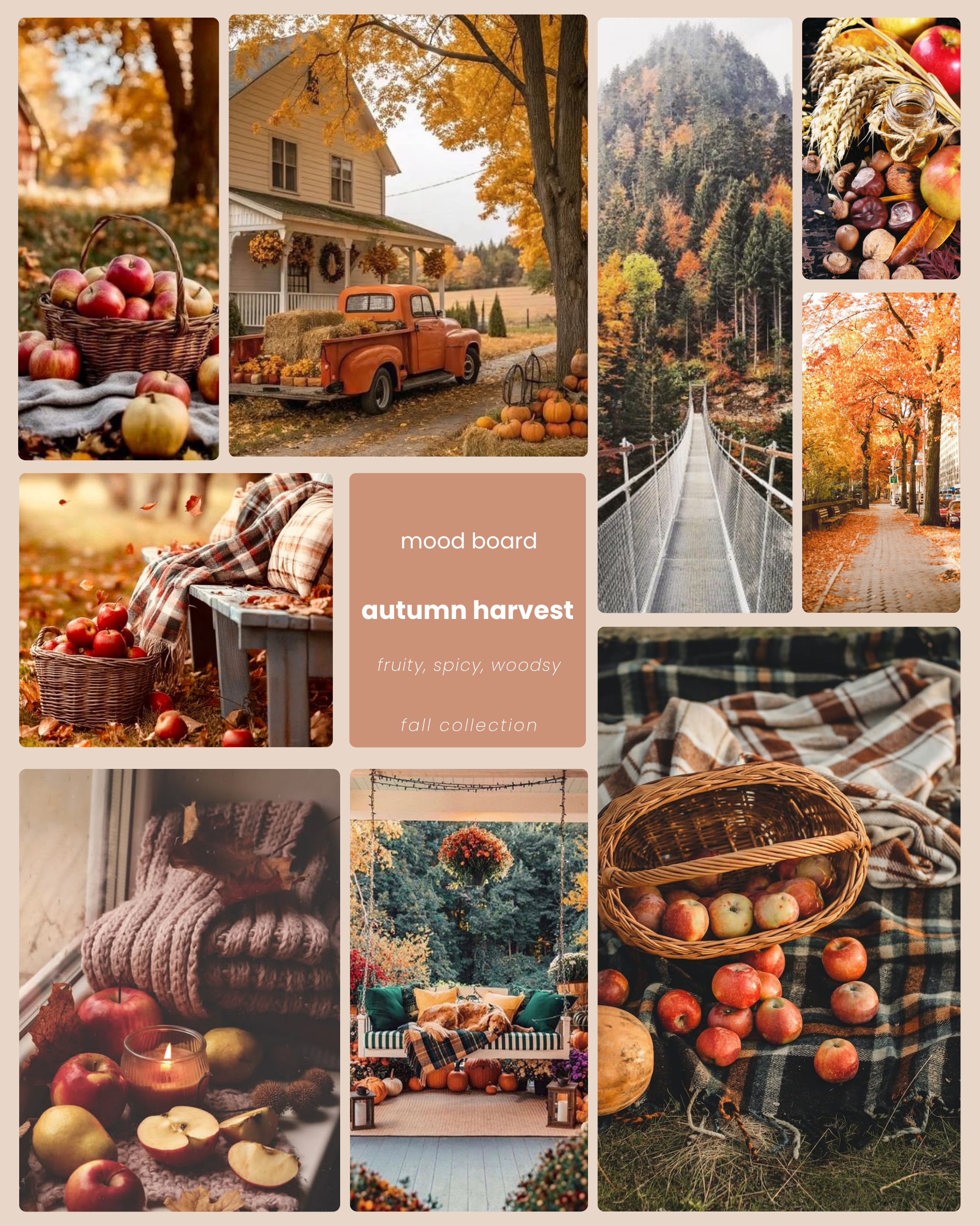 autumn harvest – Collective Harmony Co