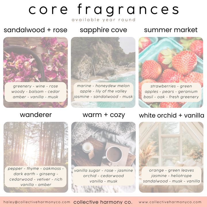 perfume discovery kit