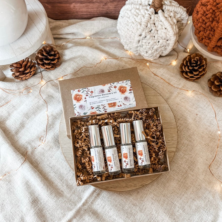 fall discovery kit