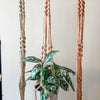 macrame plant hanger