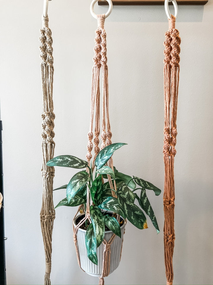 macrame plant hanger