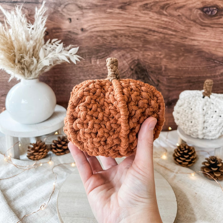 pumpkin bundle