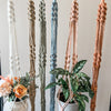 macrame plant hanger