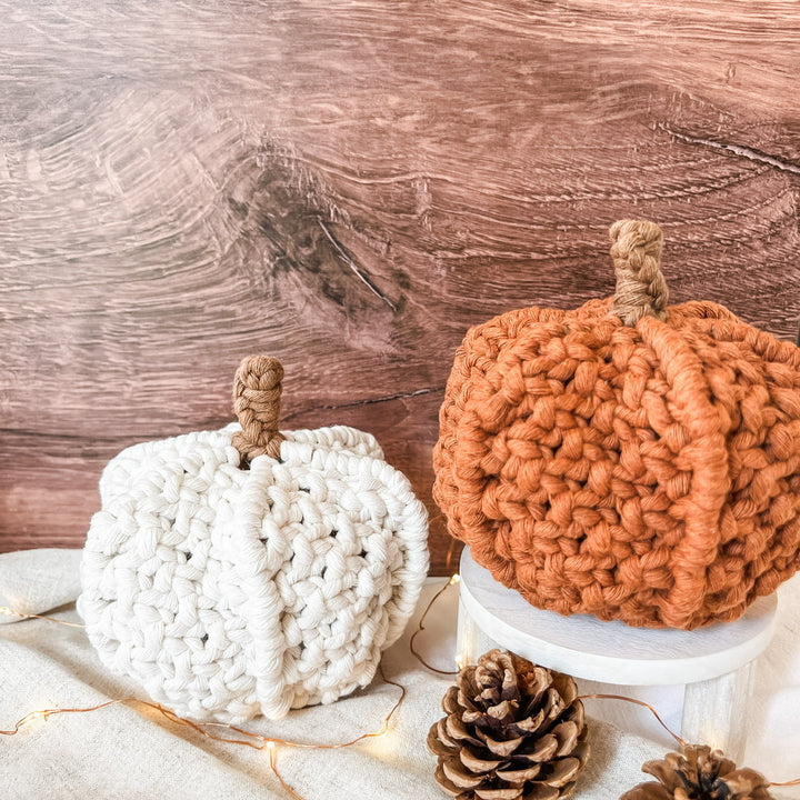 pumpkin bundle