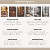 cozy collection discovery kit