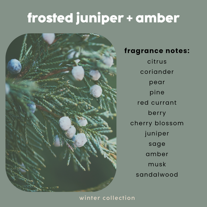 winter sampler gift pack