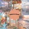 hibiscus shores