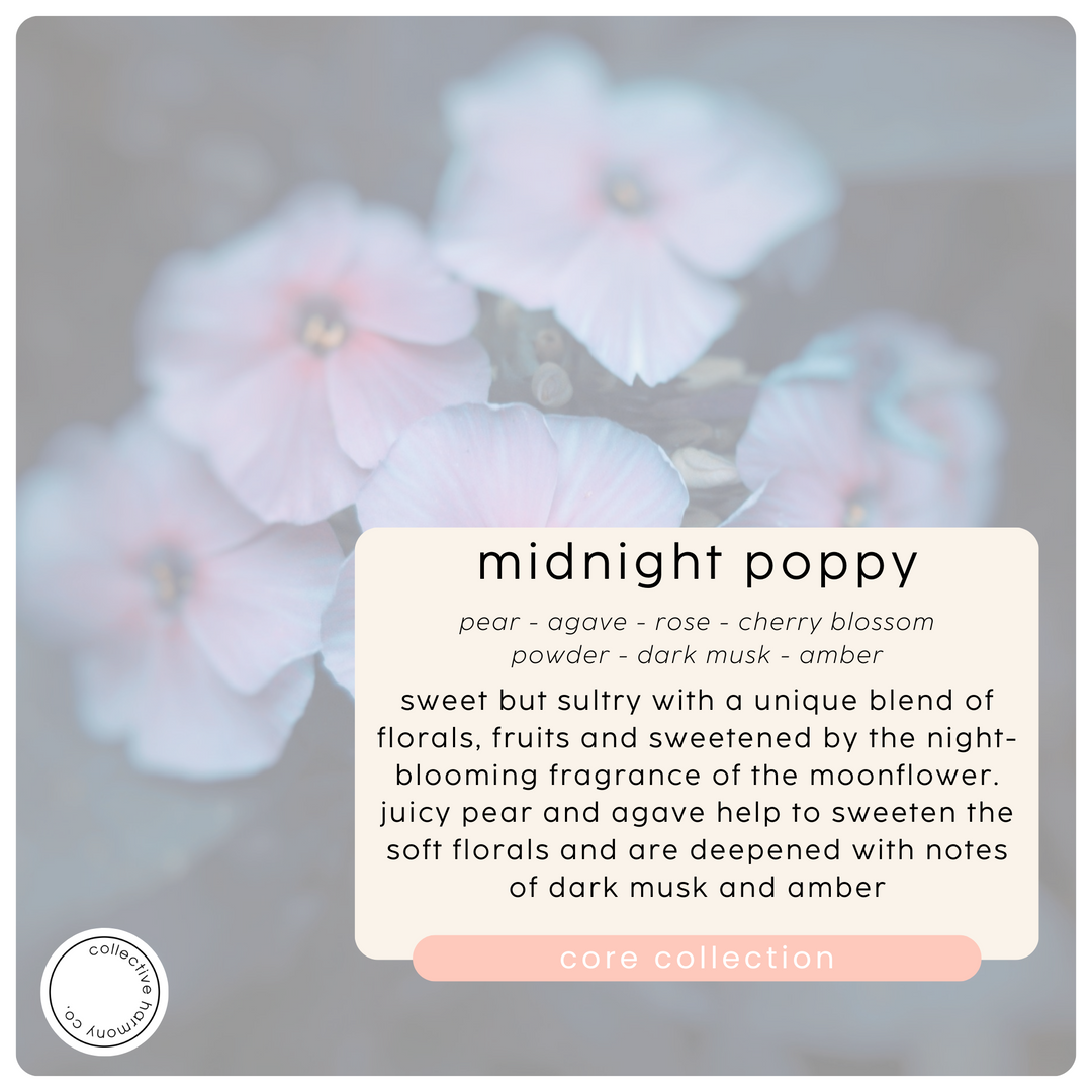 midnight poppy