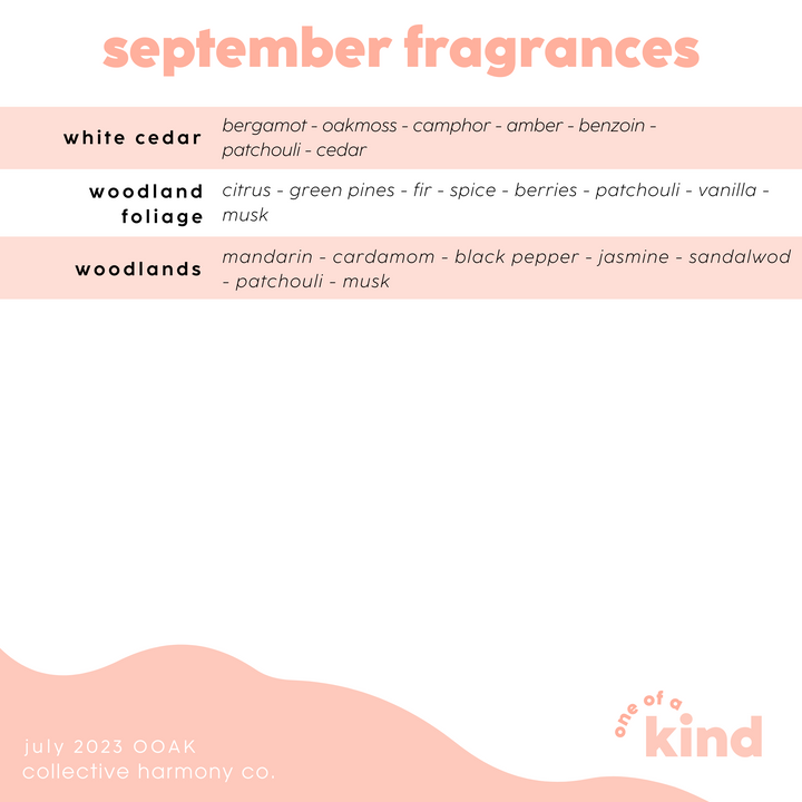 One of a Kind - September
