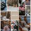 winter rose